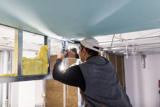 Best Commercial Insulation in Southgate, FL